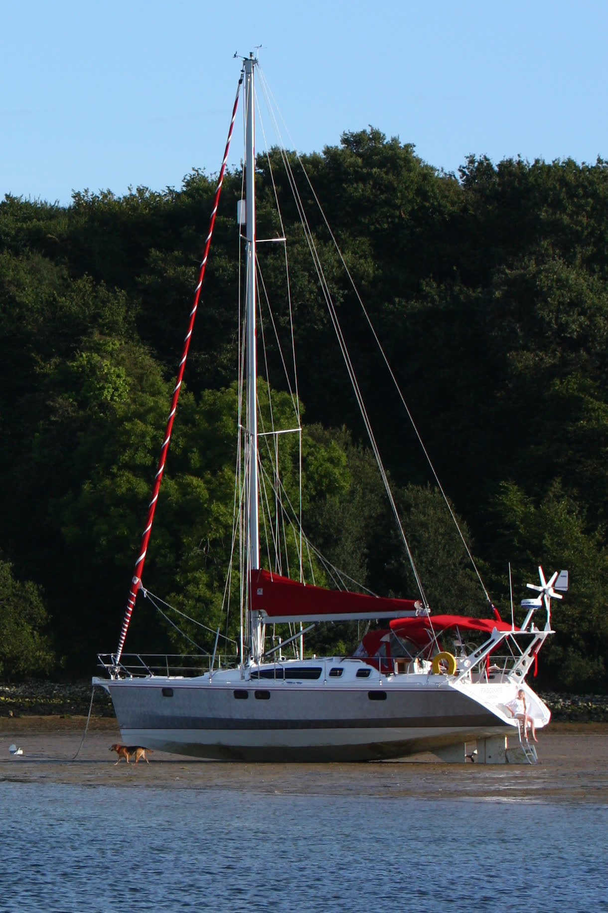 Ovni 395 17